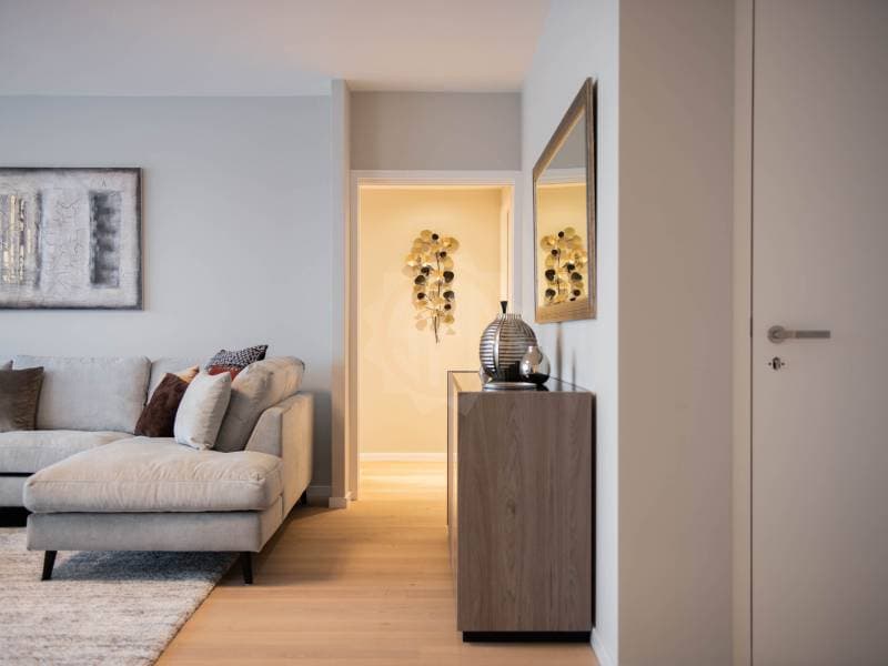 Beautiful apartment - Geneva (2)