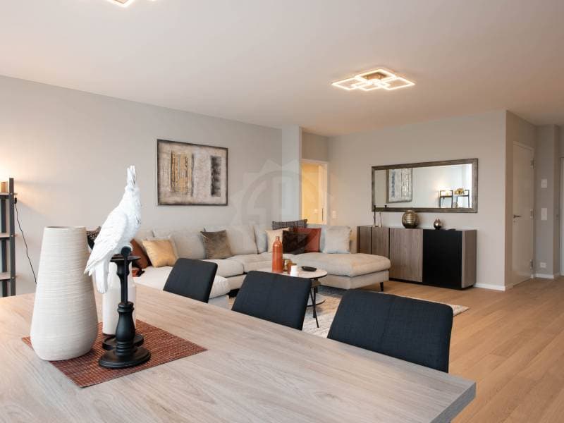 Beautiful apartment - Geneva (4)