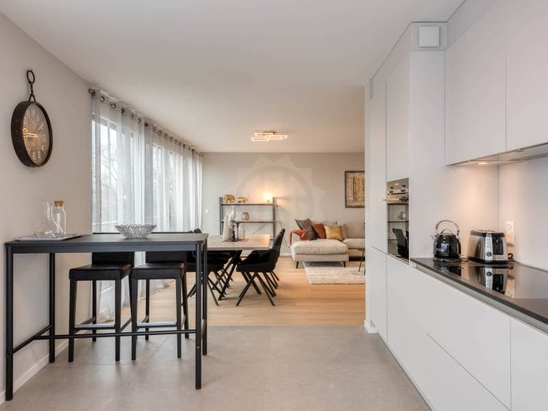 Beautiful apartment - Geneva (6)