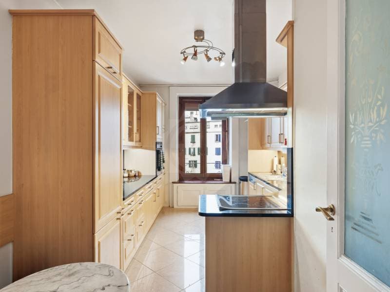 Charming apartment - Geneva (3)