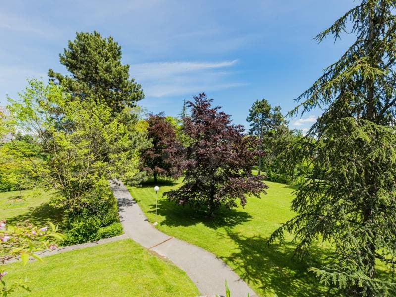 Spacious Apartment - Le Grand-Saconnex (3)