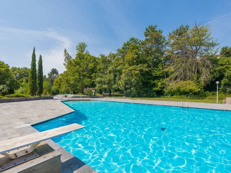 Spacious Apartment - Le Grand-Saconnex (4)