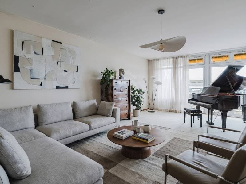 Appartement spacieux - Genève (2)