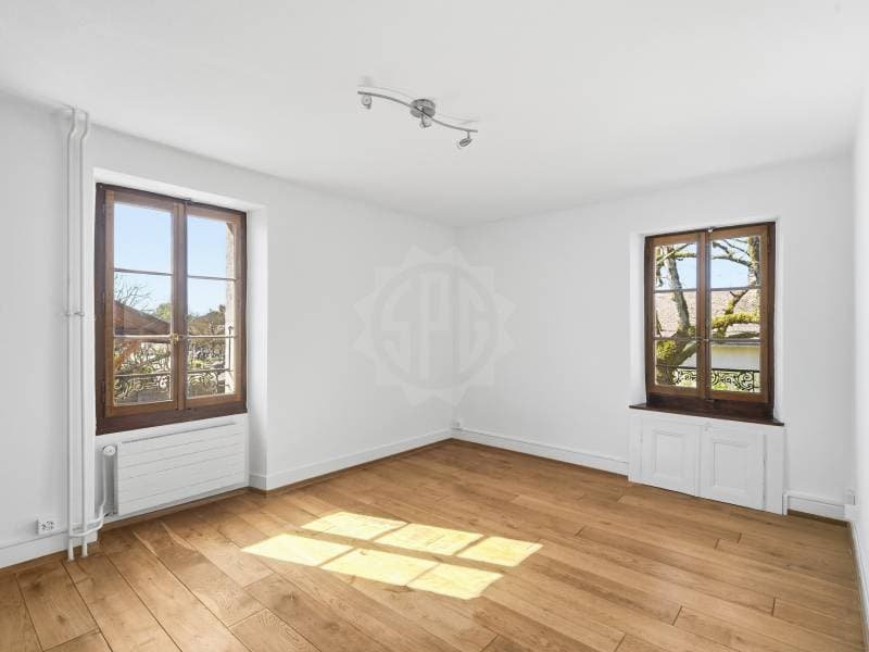 Charming villa - Dardagny (7)