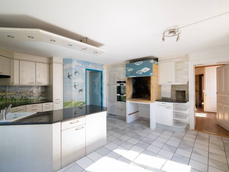 Charming villa - Dardagny (6)
