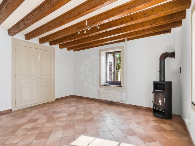 Charming villa - Dardagny (5)