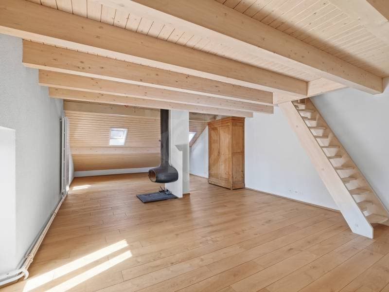 Charming villa - Dardagny (10)