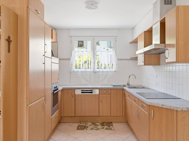 Charming villa - Genthod (6)