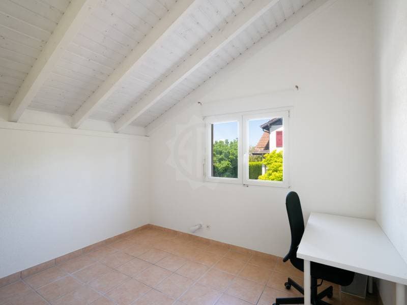 Charming villa - Genthod (9)