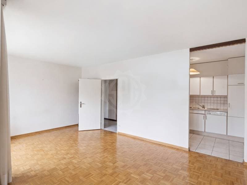 Bright Apartment - Le Grand-Saconnex (5)