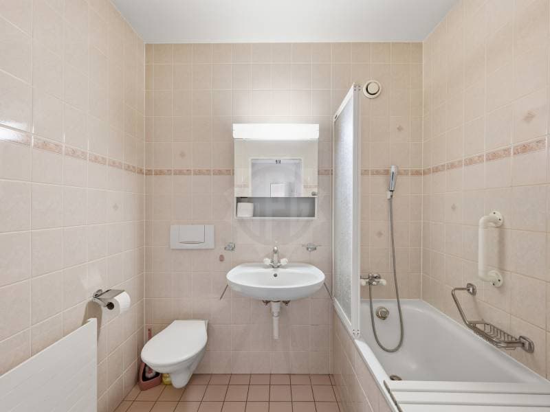 Bright Apartment - Le Grand-Saconnex (11)