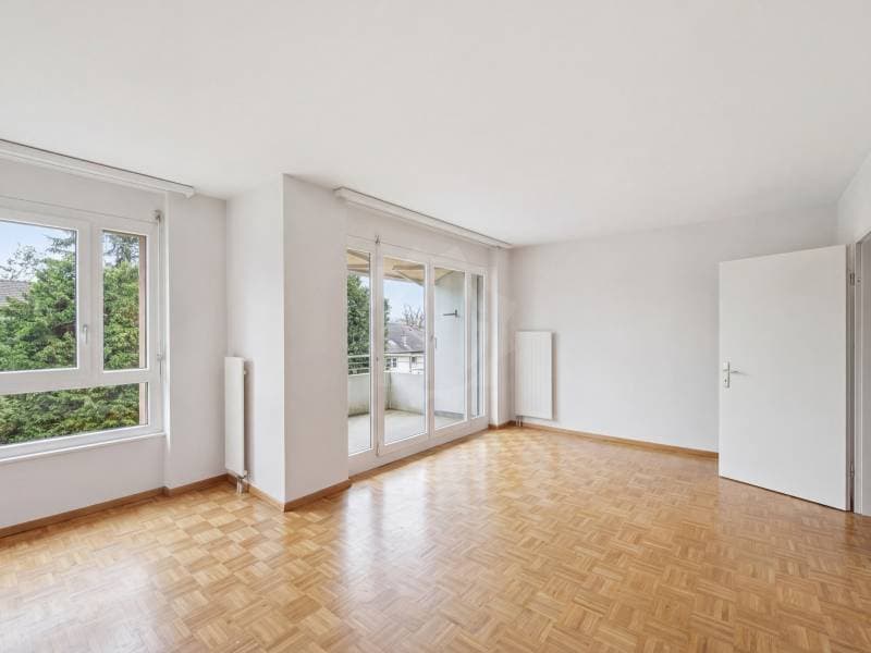 Bright Apartment - Le Grand-Saconnex (3)