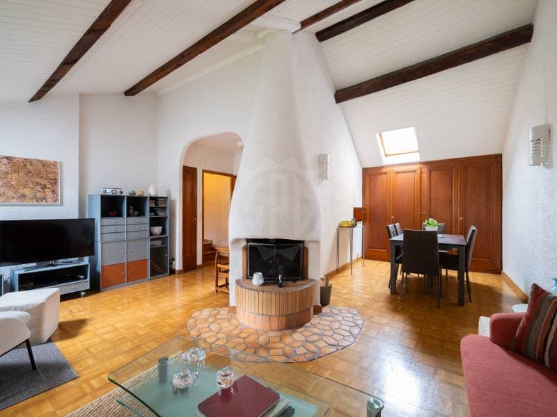 Charmantes Apartment - Chêne-Bougeries (1)