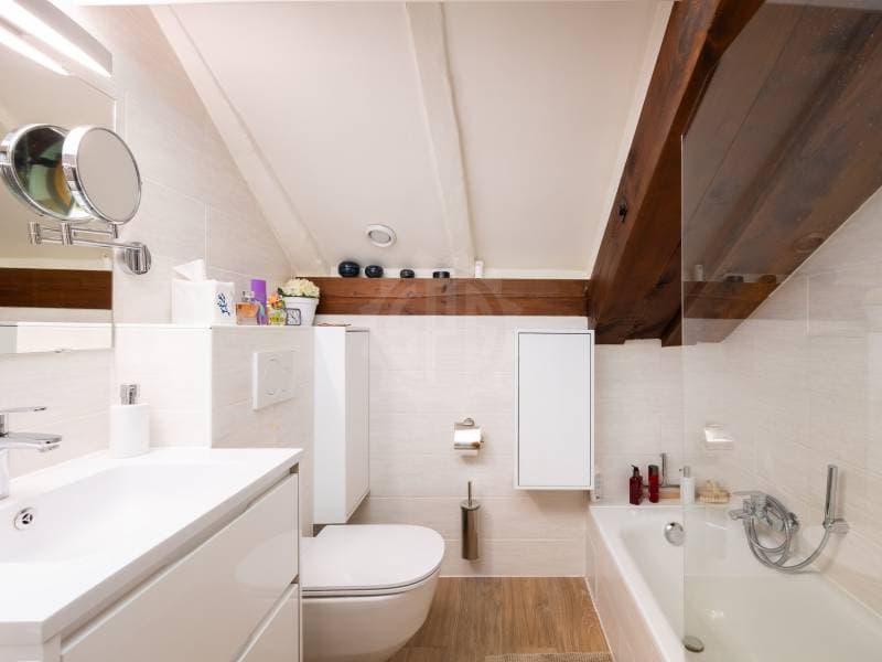 Charmantes Apartment - Chêne-Bougeries (9)
