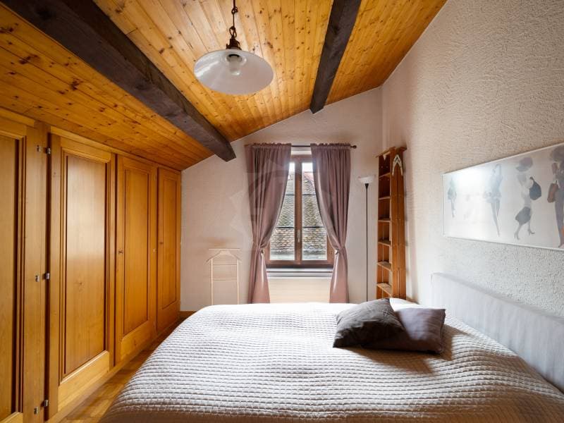Charmantes Apartment - Chêne-Bougeries (7)