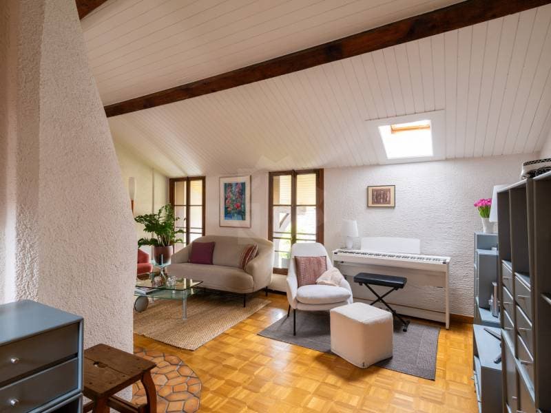 Charmantes Apartment - Chêne-Bougeries (3)
