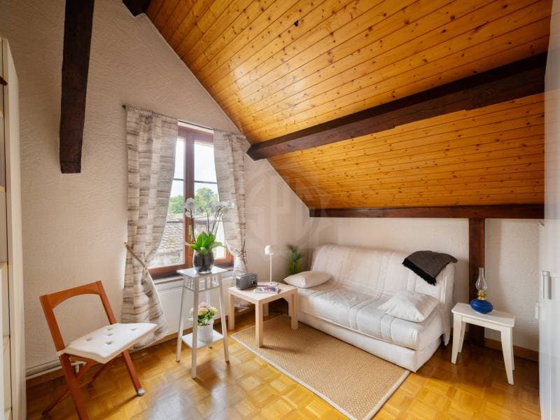 Charmantes Apartment - Chêne-Bougeries (8)