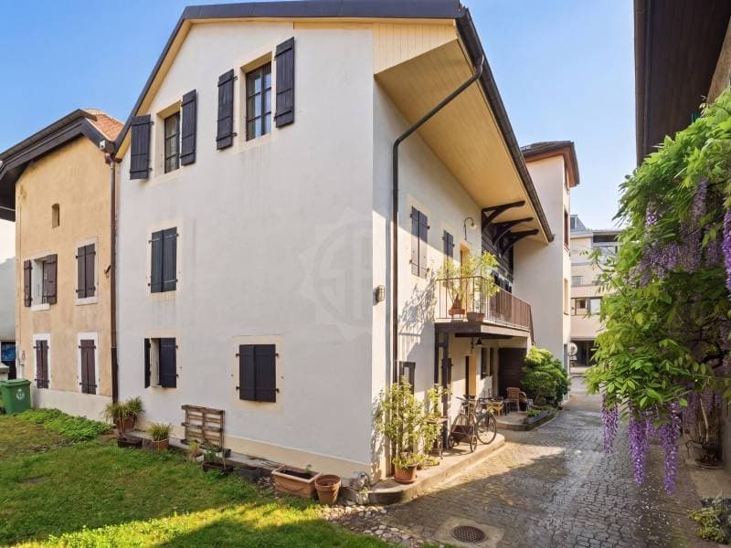 Charmantes Apartment - Chêne-Bougeries (11)