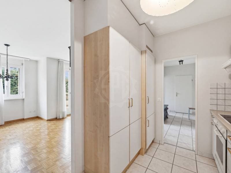 Bright Apartment - Geneva (6)
