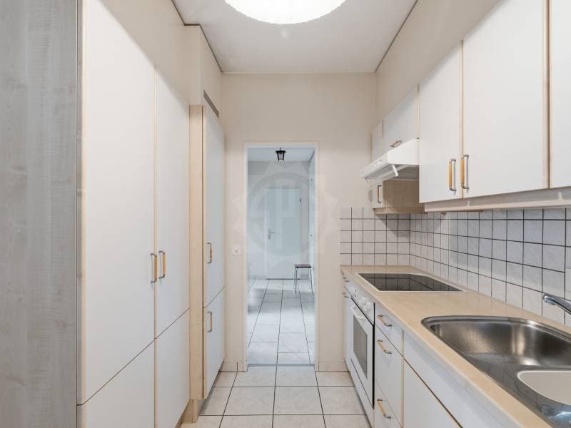 Bright Apartment - Geneva (7)
