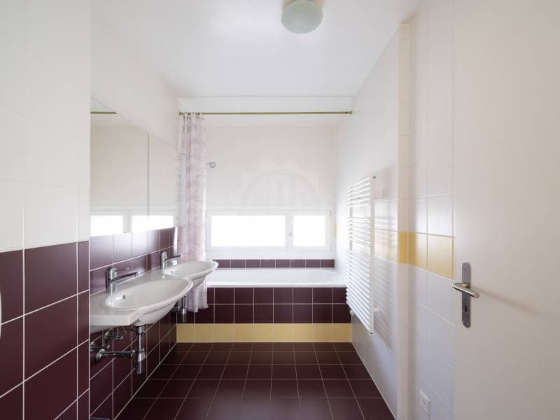 Charming Villa - Chêne-Bougeries (12)