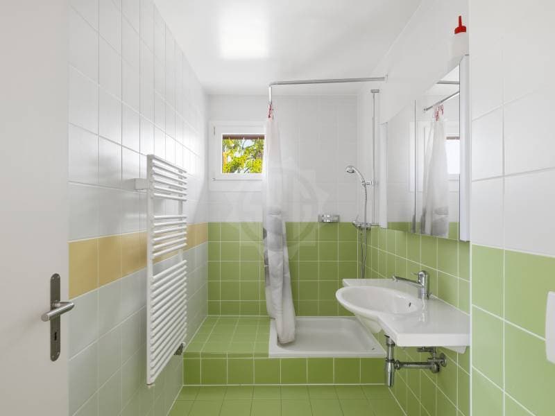 Charming Villa - Chêne-Bougeries (11)