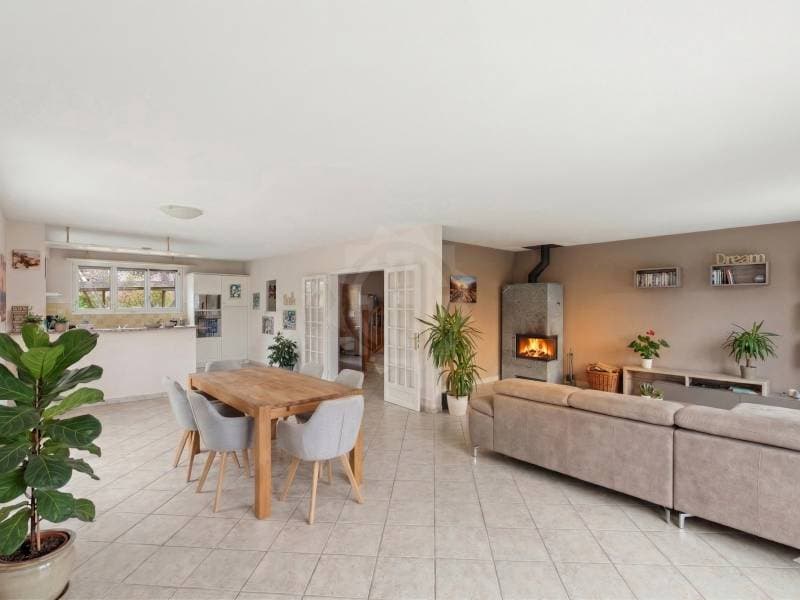 Charming villa - Puplinge (6)