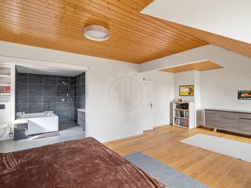 Charming villa - Puplinge (9)