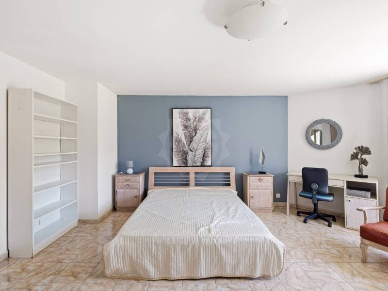 Charming apartment - Chambésy (9)