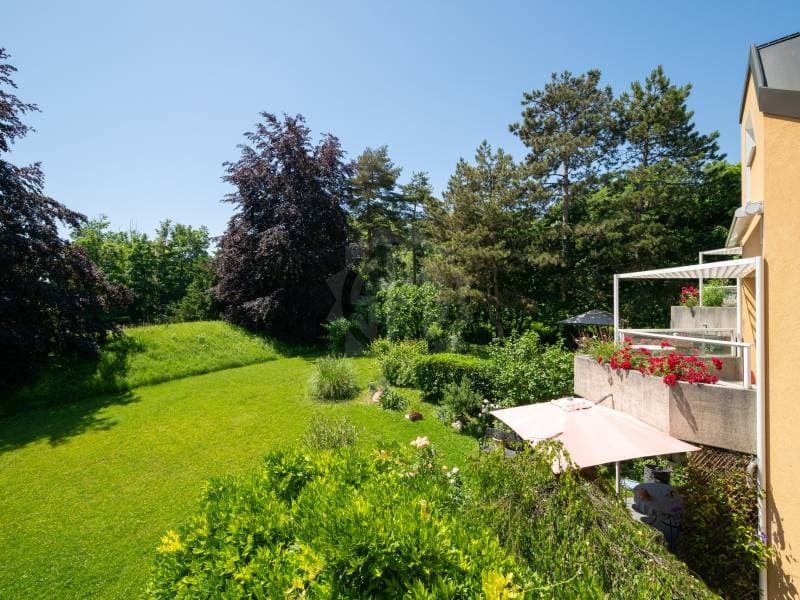 Charming apartment - Chambésy (1)