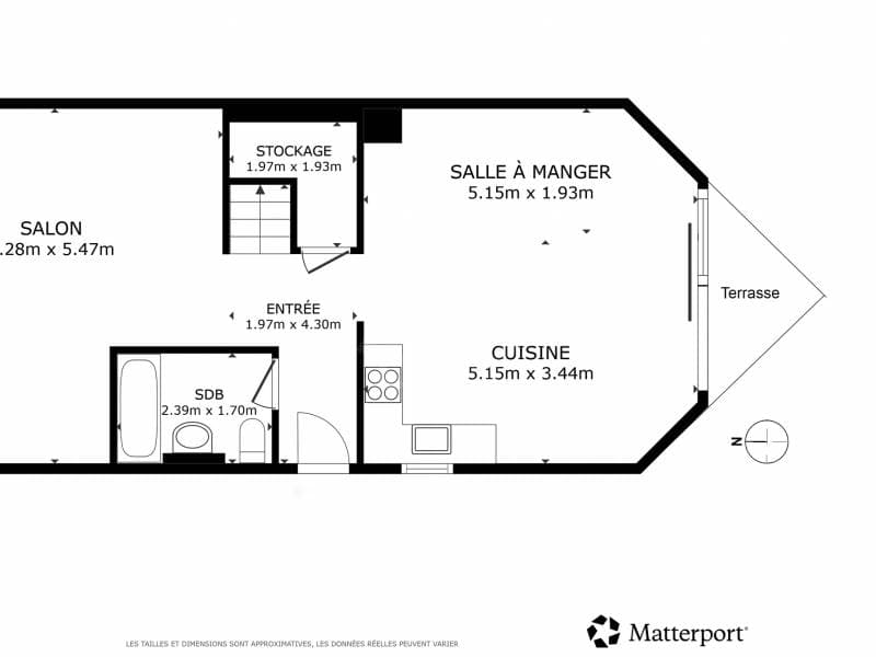 Charmantes Wohnung - Chambésy (9)