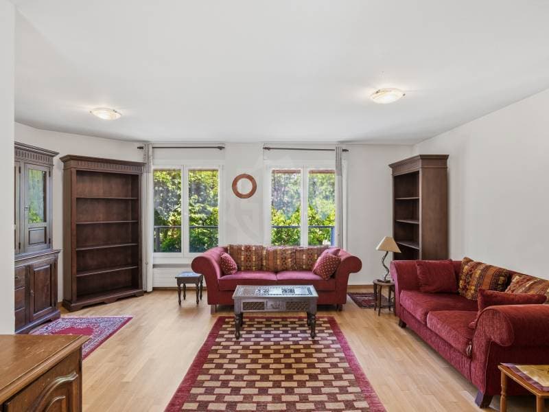 Charming apartment - Chambésy (2)