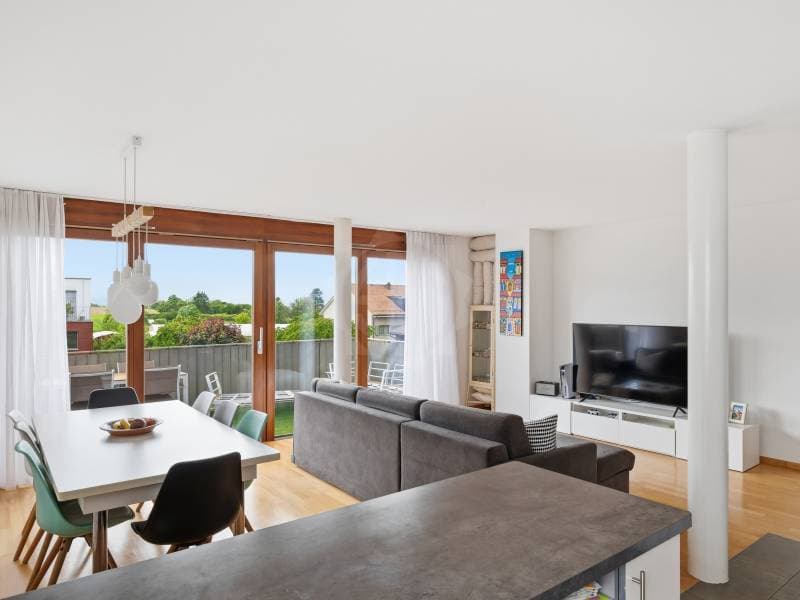 Charming Apartment - Plan-les-Ouates (4)