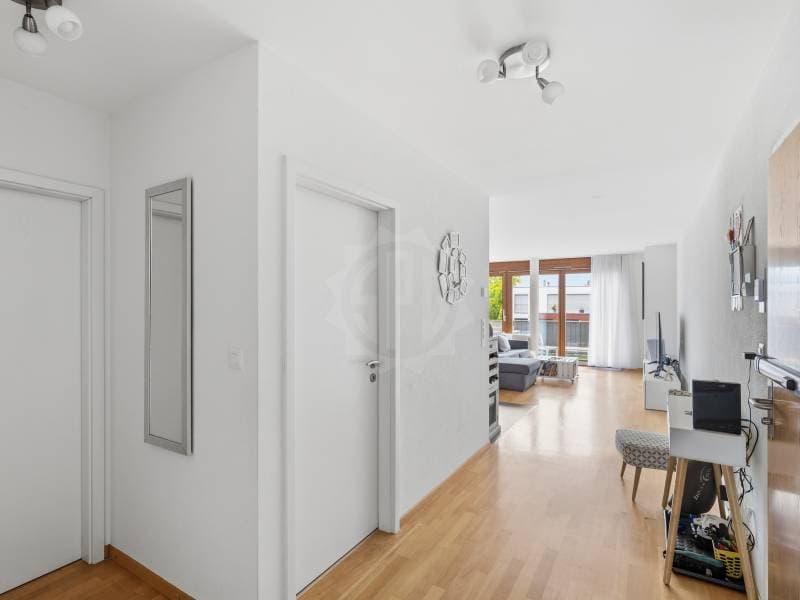 Charming Apartment - Plan-les-Ouates (7)