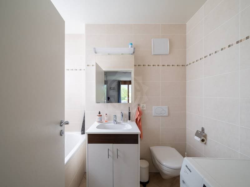 Charming Apartment - Plan-les-Ouates (11)