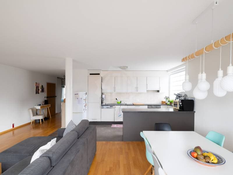 Charming Apartment - Plan-les-Ouates (5)