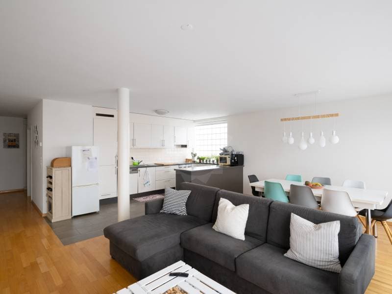 Charming Apartment - Plan-les-Ouates (3)