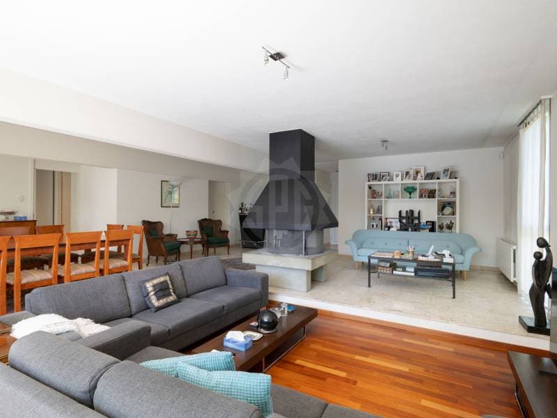 Beautiful Villa - Veyrier (5)