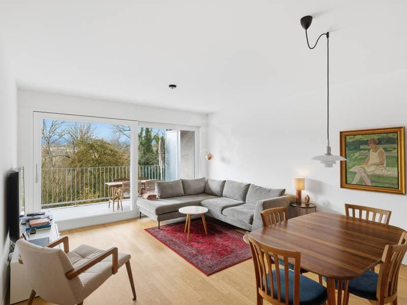 Angenehmes Appartement - Chancy (1)