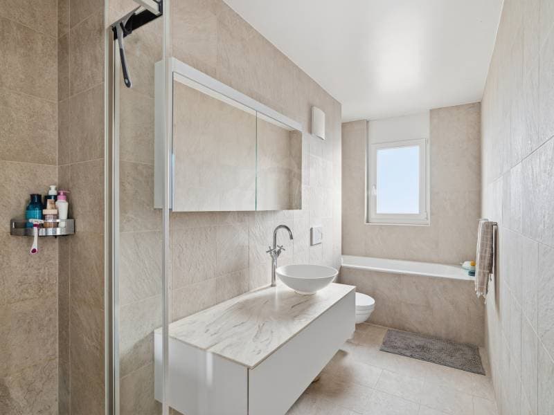 Angenehmes Appartement - Chancy (7)