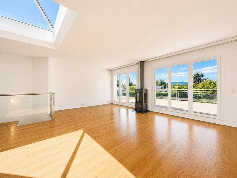 Bright Apartment - Plan-les-Ouates (1)