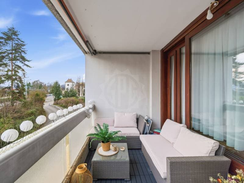 Pleasant apartment - Geneva (5)