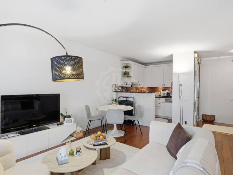 Pleasant apartment - Geneva (3)