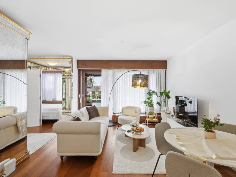Pleasant Apartment - Geneva (2)