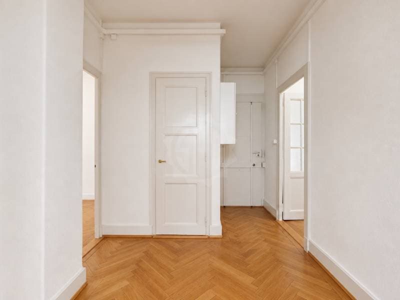 Charmant appartement - Genève (3)