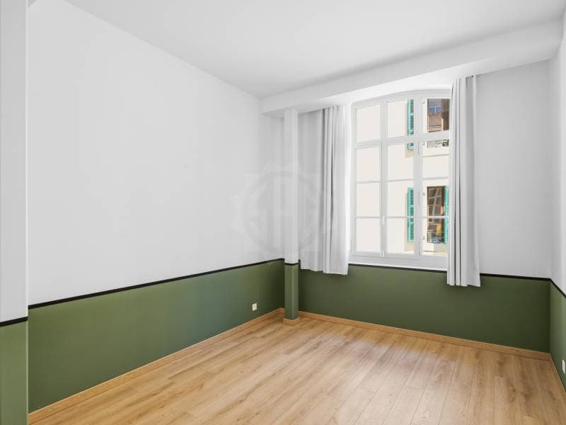 Splendid apartment - Geneva (7)