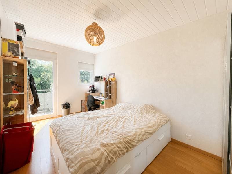 Charming Villa - Plan-les-Ouates (7)