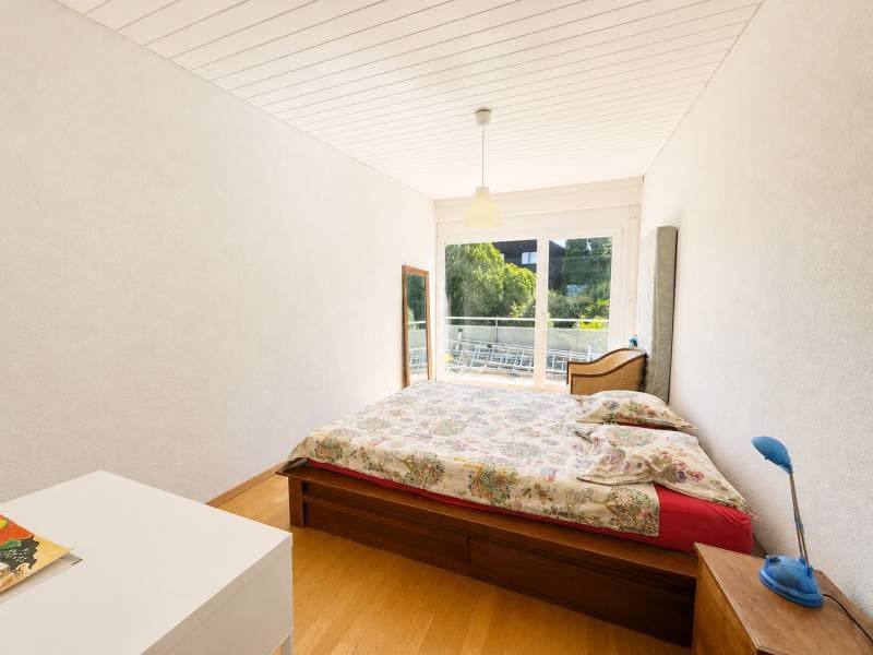 Charming Villa - Plan-les-Ouates (8)