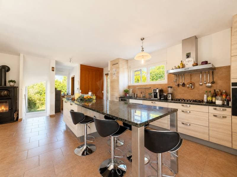Charming Villa - Plan-les-Ouates (4)