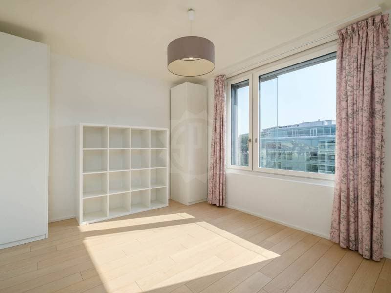 Spacious Apartment - Geneva (5)
